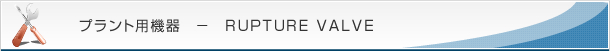 プラント用機器-RUPTURE VALVE