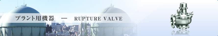 vgp@-RUPTURE VALVE