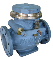 BVN-1 Type