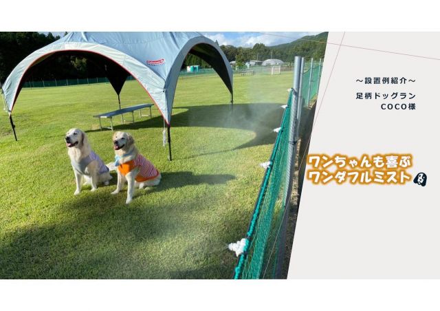 こんにちは😊新倉工業株式会社です✨ 今回の投稿は中の人Nがお送りします✏ 雨が多く、涼しい日が続いておりますが皆様いかがお過ごしでしょうか？？ 今回の記事はご利用例紹介！静岡県小山町の足柄にあるドッグランCOCO様の 設置例をご紹介しちゃいます✨ 弊社がある御殿場市の隣町、小山町。その中でも足柄地区は皆さん、サービスエリアの利用などで立ち寄ったことがある方も多いのではないでしょうか😍 足柄の魅力は何といっても大自然‼空気も澄んでいて、自然が豊かな町です😊 そんな自然豊かな町、足柄にある、ドッグランCOCO様🐶 芝生で覆われた広い敷地には、元気に走り回るワンちゃんたちの姿がありました❣ 今回、中の人Nが撮影に行かせていただいたのですが、人間の私でも走りたくなっちゃうような、綺麗な芝生でした😍(もちろん仕事なので、我慢しましたよ…) 設置させていただいたMIST DIYの写真を皆さんにご紹介させていただきます📸 昨年はドッグラン入口付近のネットにご設置いただきました✨ 暑い中元気に走り回るワンちゃんたちや、ランを利用する飼い主さんたちの熱中症対策も バッチリですね👌✨ 結束バンドでミストがランの方を向くように設置しているところも 従業員の方のやさしさと工夫を感じます…😊 ミストが背景の芝生とマッチしてとても涼しげな印象ですね🌿 ワンちゃんたちの気持ちよさそうな表情にも注目です✨ 弊社のMIST DIYは気化熱を利用して、体感温度をおよそ5度低くします😊👌 ワンタッチで水道の蛇口に取り付け、粘着タイプのクリップや結束バンド、 タコ紐等での取り付けが可能なので女性や子供でも簡単に取り付けができます✨ 柔らかいチューブを採用しているので、壁や天井だけでなく、柱に巻き付けたり、木に這わせたりして使用することも可能です🥰 でもやっぱり気になるのは水道代... なんと基本セットで1時間噴霧した場合の水道代は 1円なんです😲 噴霧量：7.2ℓ/1時間 　　　　　 最大30ｍまで延長可能 ノズルの取り付けは30個まで取り付け可能です✨ ※上記数量以上の取り付けをご希望の場合はご相談ください 皆さんも今年の夏に向けて MIST DIYのご購入を検討してみてはいかがでしょうか😌 他にも素敵なアレンジを紹介していこうと思いますのでお楽しみに😉 皆さんも是非素敵なアレンジを投稿してみてください📷✨ その際はタグ付けをお願いします👀 お問い合わせは下記までお願いします🙋‍♀️ ☎0550-78-6220 ✉mistdiy@niikura.co.jp #冷感ミスト　#MISTDIY　#ミスト　#ミストシャワー　#熱中症　#熱中症対策　#DIY #DIＹ女子　#DIY男子　#園芸　#ペットのいる暮らし 　#ガーデニング　#御殿場　#水遊び　　　#公園　#公園遊び #水遊び #おうち時間 #プール　#BBQ #バーベキュー ＃外遊び　#フラワーアレンジメント　#わんこ　#夏　#わんこのいる生活 #ドッグラン #ドッグランCOCO #小山町 #足柄　#富士スピードウェイ #足柄サービスエリア