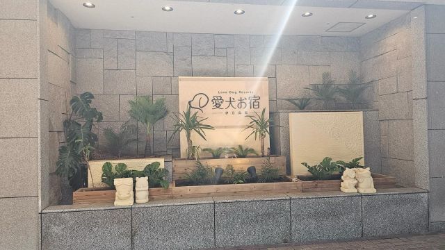 こんにちは😊新倉工業株式会社です✨ 暑い日が続いていますね🌺 暑さ対策、熱中症予防にぜひMIST　DIYを設置してみませんか❔ 今回は、愛犬家の皆さんに朗報です❣ 愛犬お宿伊豆高原様にMIST DIYを設置させていただいたのでご紹介させていただきます✨ 愛犬とご家族の皆さんで元気いっぱい遊べますように🐶 皆さんも夏に向けて、お手軽に始められる”MIST DIY”を試してみませんか❔😌 “DIY”なだけに、皆様の素敵なアレンジも募集します📷✨ ぜひタグ付けして投稿をお願いします👀💛 お問い合わせは下記までお願いします🙋‍♀️ ☎0550-78-6220 ✉mistdiy@niikura.co.jp #冷感ミスト　#MISTDIY　#ミスト　#ミストシャワー　#熱中症　#熱中症対策　#DIY #DIＹ女子　#DIY男子　#愛犬　#ドッグラン　#ガーデニング　#御殿場　#水遊び　#こどものいる生活　#男の子ママ #女の子ママ　#公園　#公園遊び #水遊び #御殿場 #プール　#BBQ #バーベキュー ＃外遊び ＃親子　#フラワーアレンジメント　#夏　#暑さ対策 #伊豆観光 #御殿場